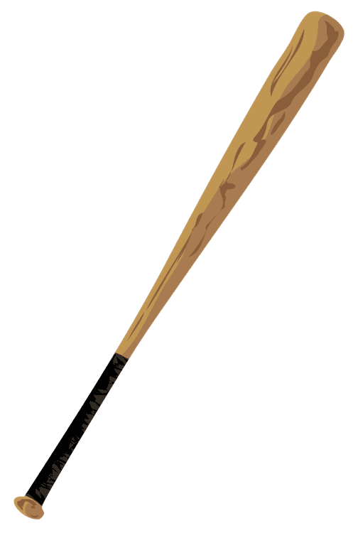 Bat