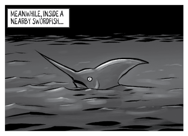 Swordfish