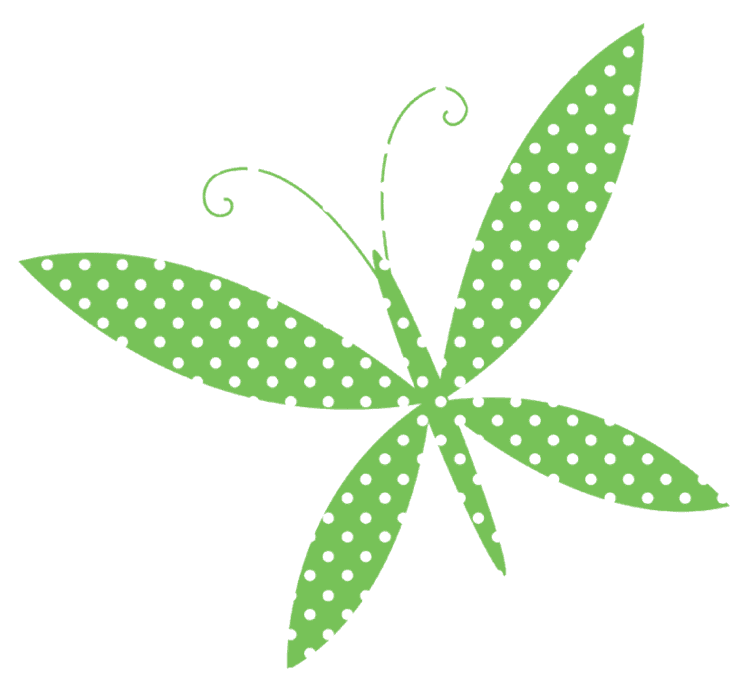 Suzy Q Butterfly D