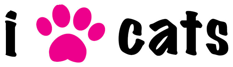 i paw cats