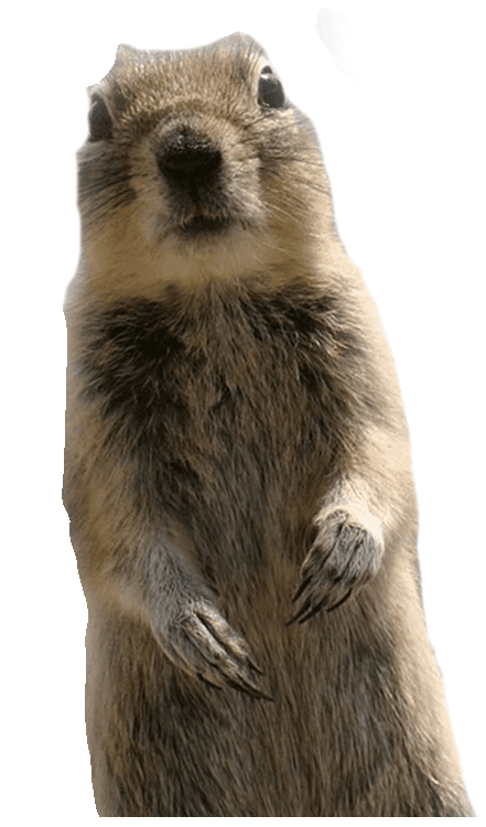 crasher1b.png