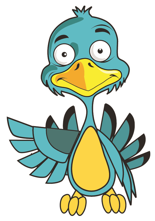 bird.jpg