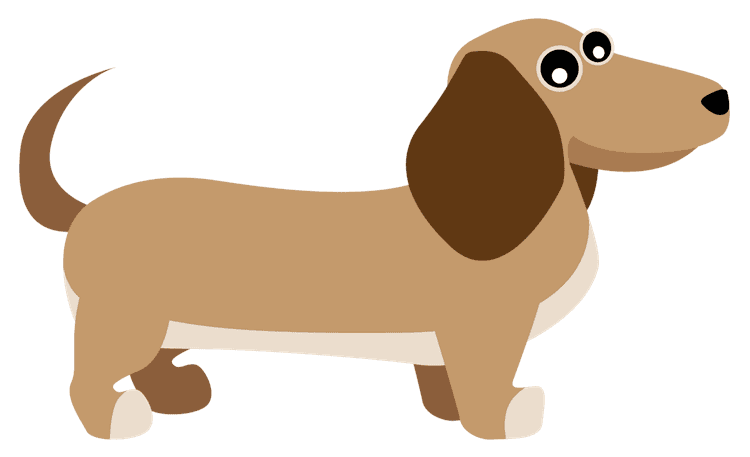 Wiener Dog