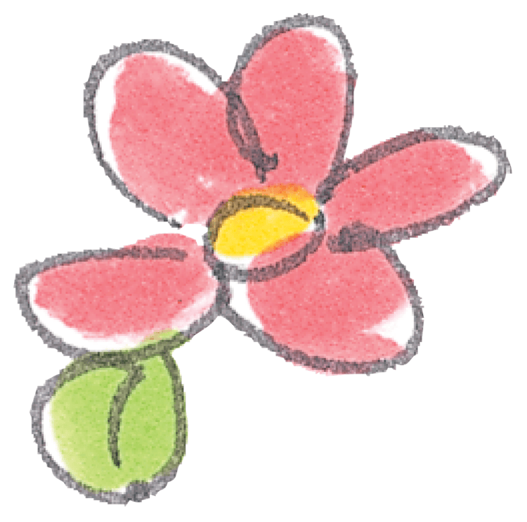 Red Flower Sketch