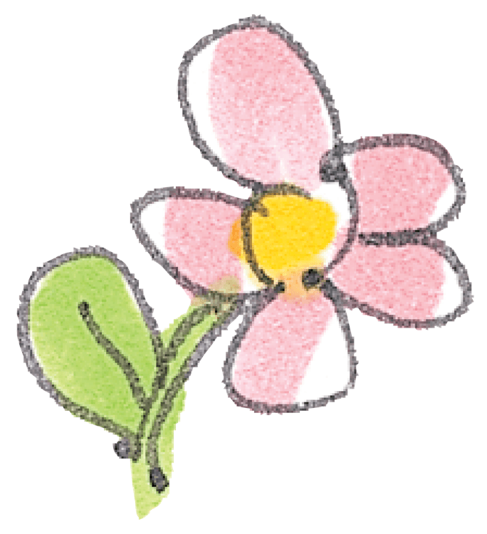 Pink Flower Sketch