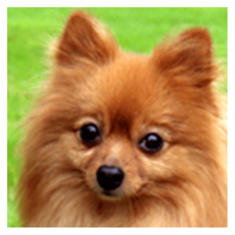 usertile29.bmp
