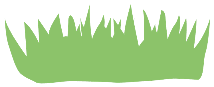 Grass