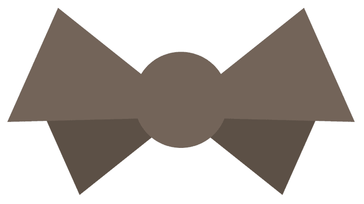 Wedding Bowtie Man