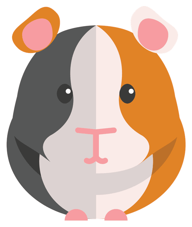 Hampster