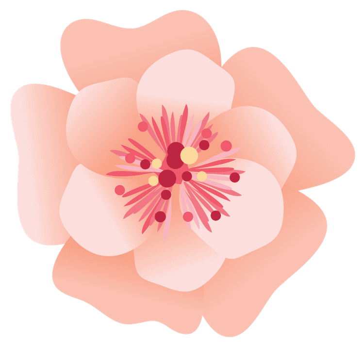 Peach Petal Flower