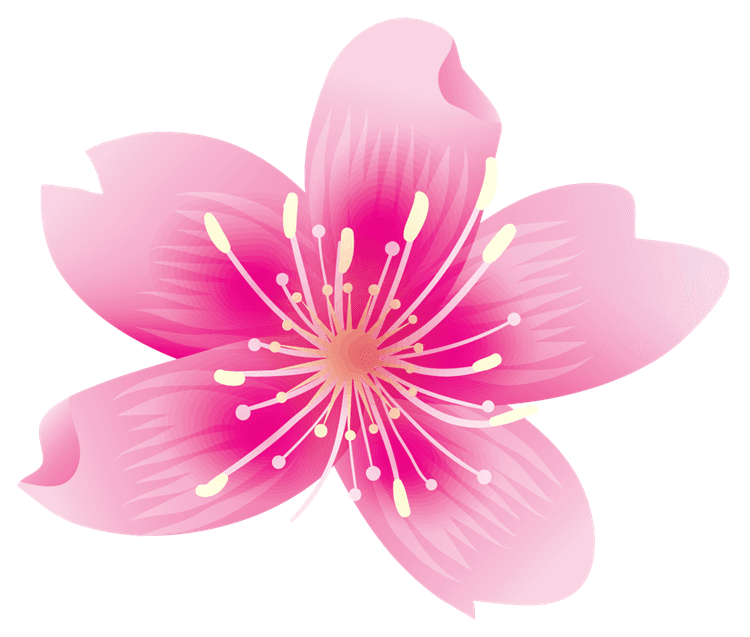 5-Point Pink Flower