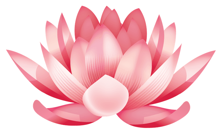 Water Lily Flower