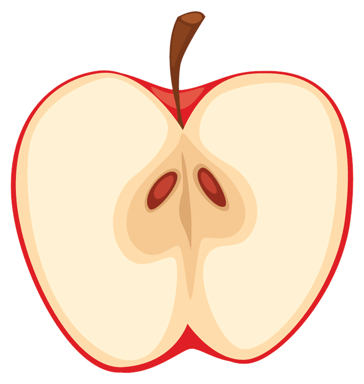 Apple Slice