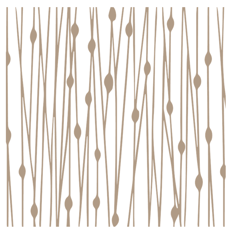 Vine Pattern