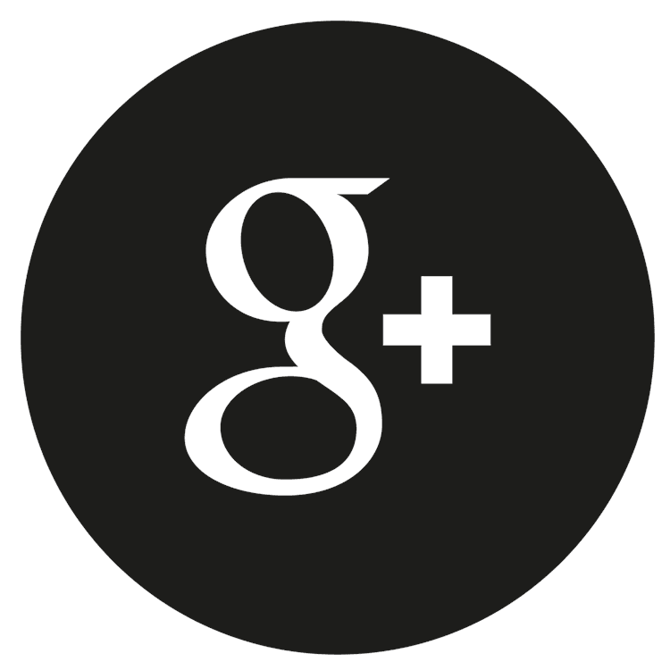Google Solid