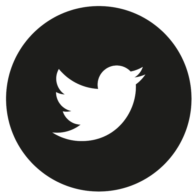 Twitter Solid