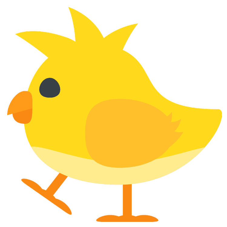 Cute little Chick