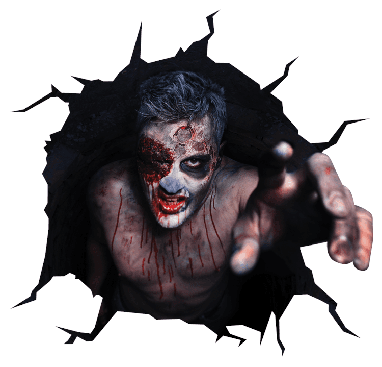 Zombie Costume