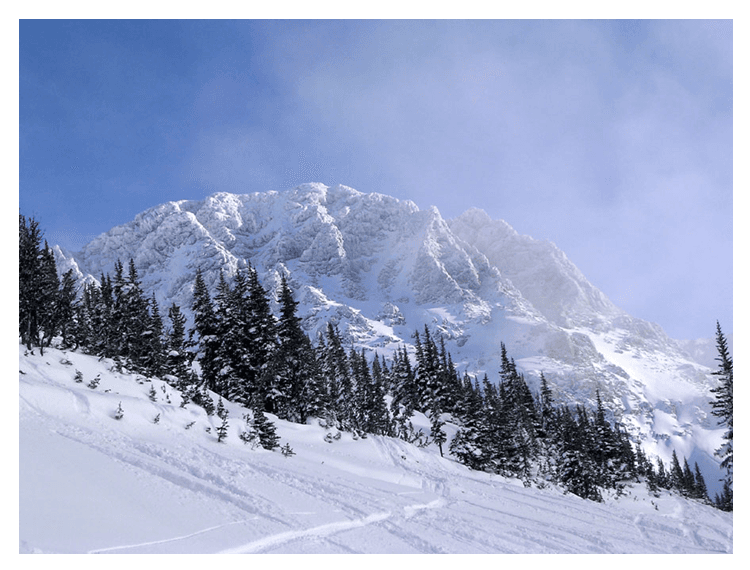 whistler1.jpg
