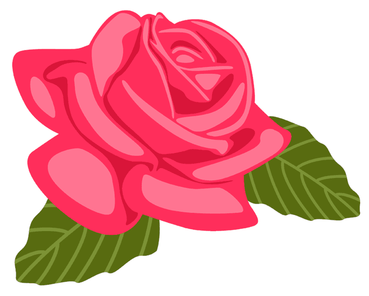 Bachelorette Flower