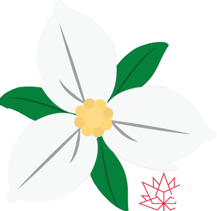 Trillium.png
