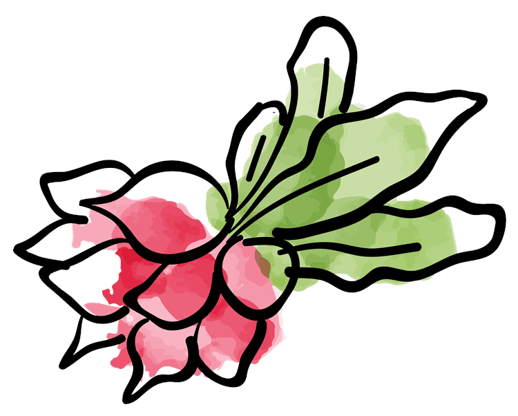 Beets