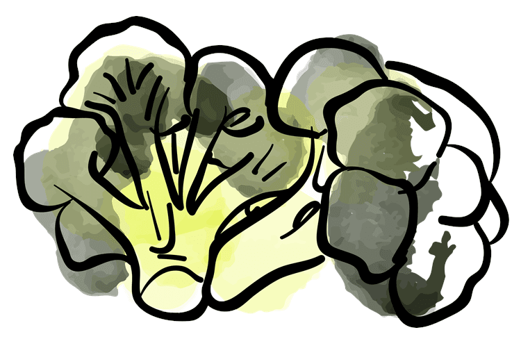 Brocolli