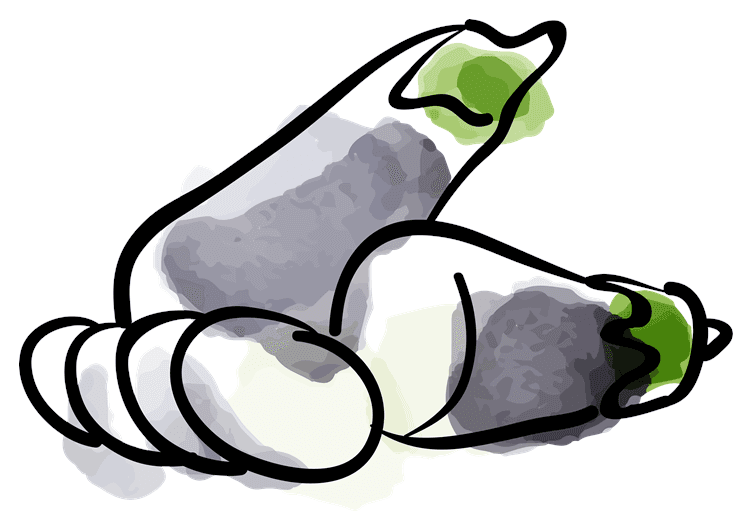 Eggplant