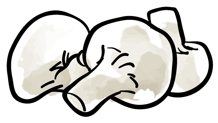 Mushroom