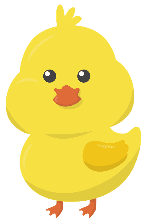Cute Chicken