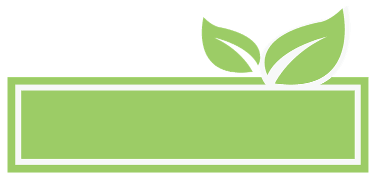 Health Food 13