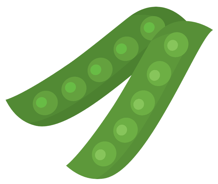Beans