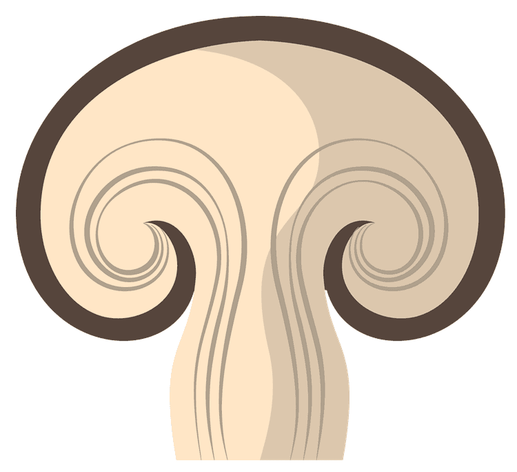 Mushroom Slice