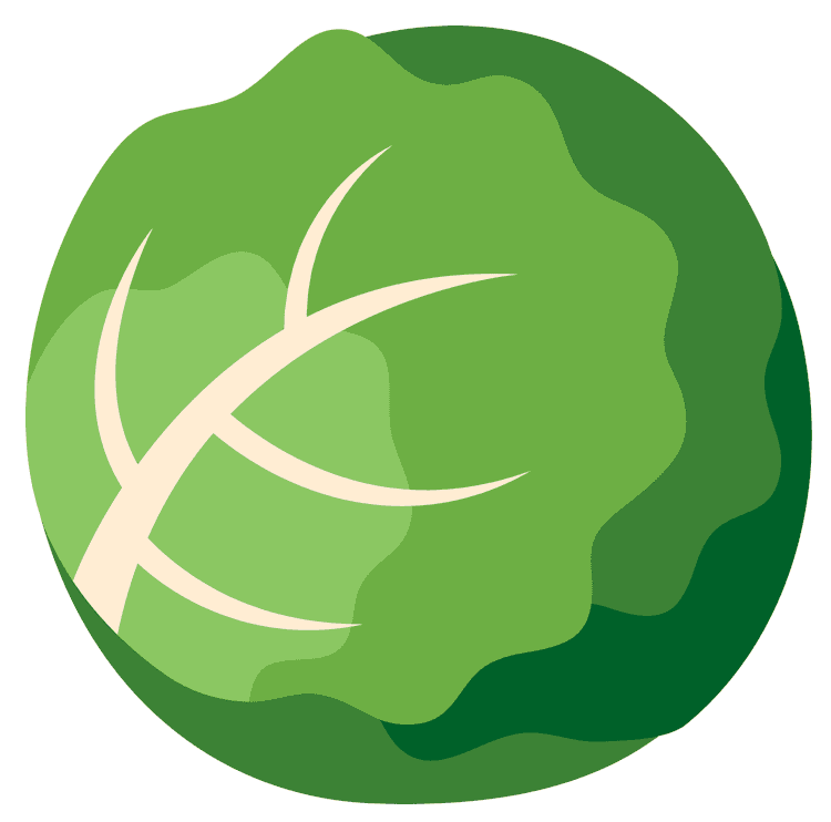 Lettuce 