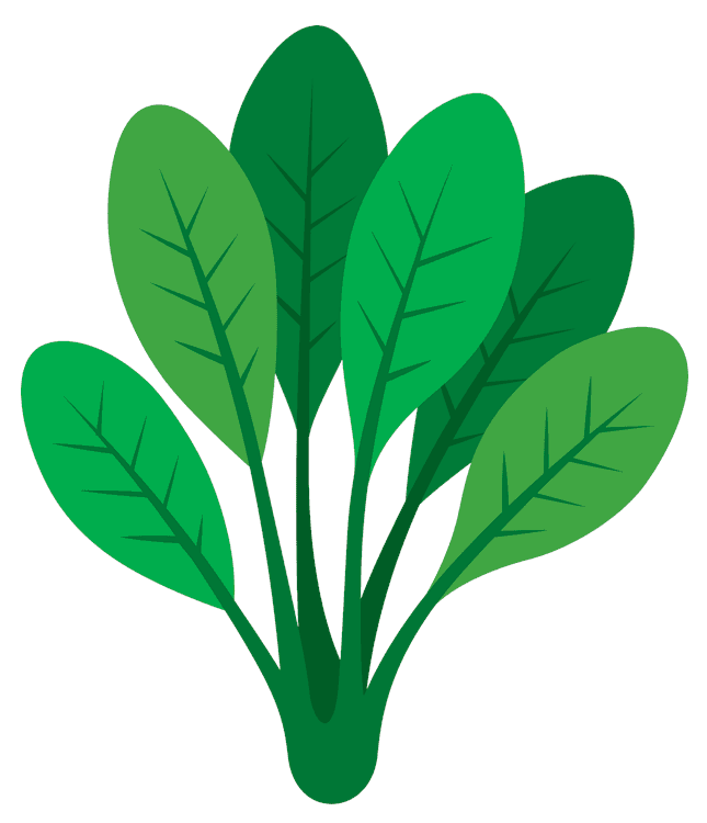Lettuce Leafs 2