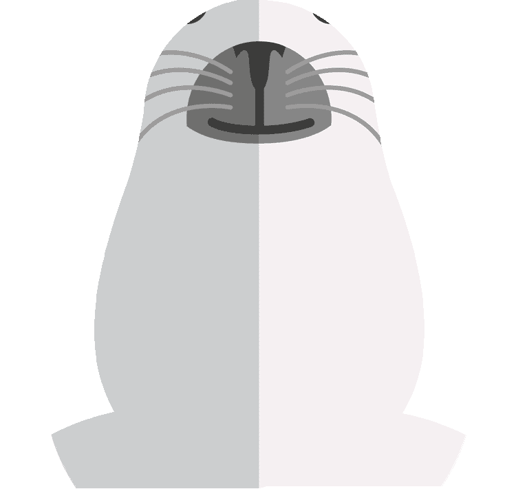 Sea Lion