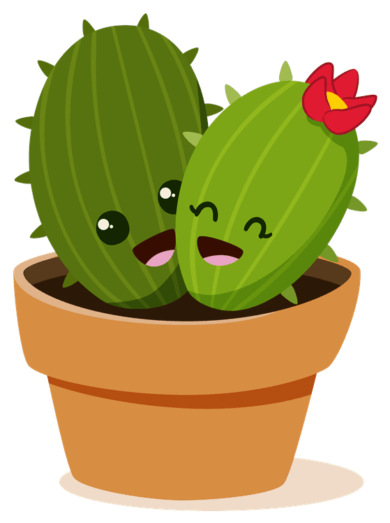 Cacti with Flower