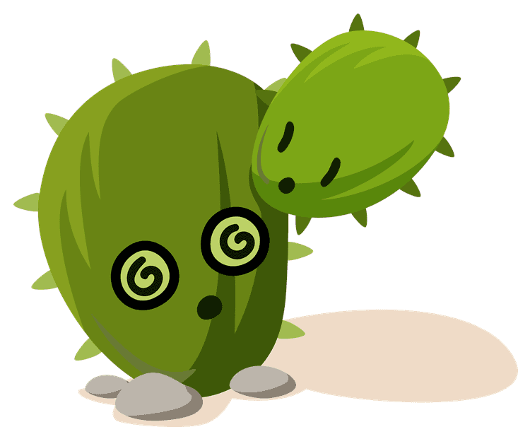 Cacti 6