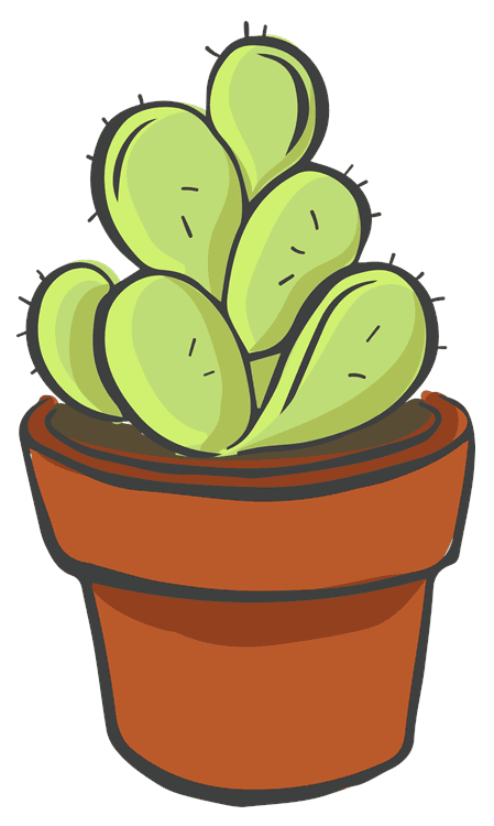 Cacti 1