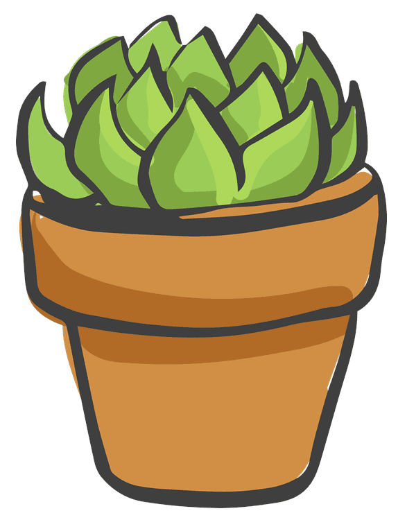 Cacti 4