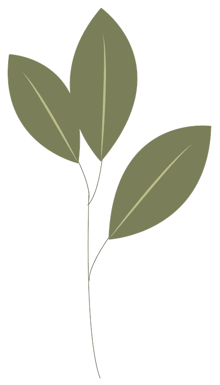 Flower 5