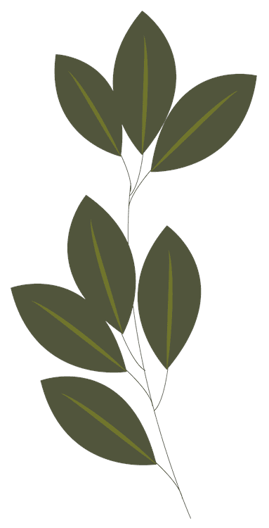 Flower 7
