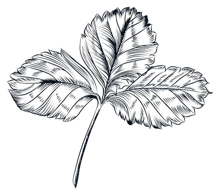 Line Flowers 9
