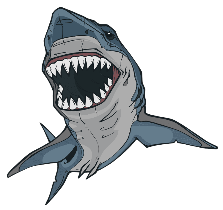 Shark 1