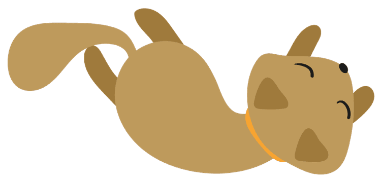Rolling Cat