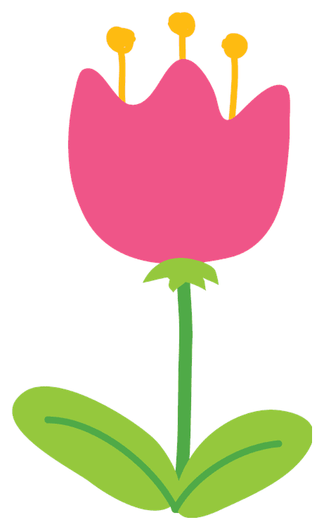 Pink Tulip Flower