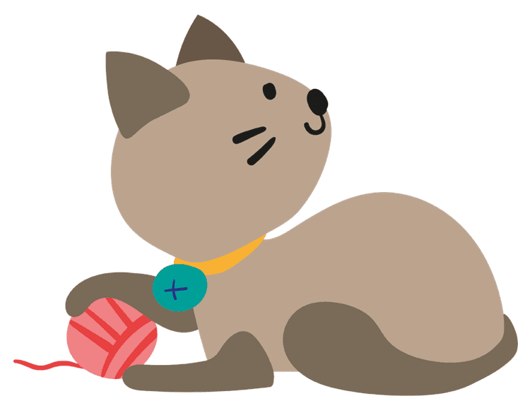 Yarn Cat