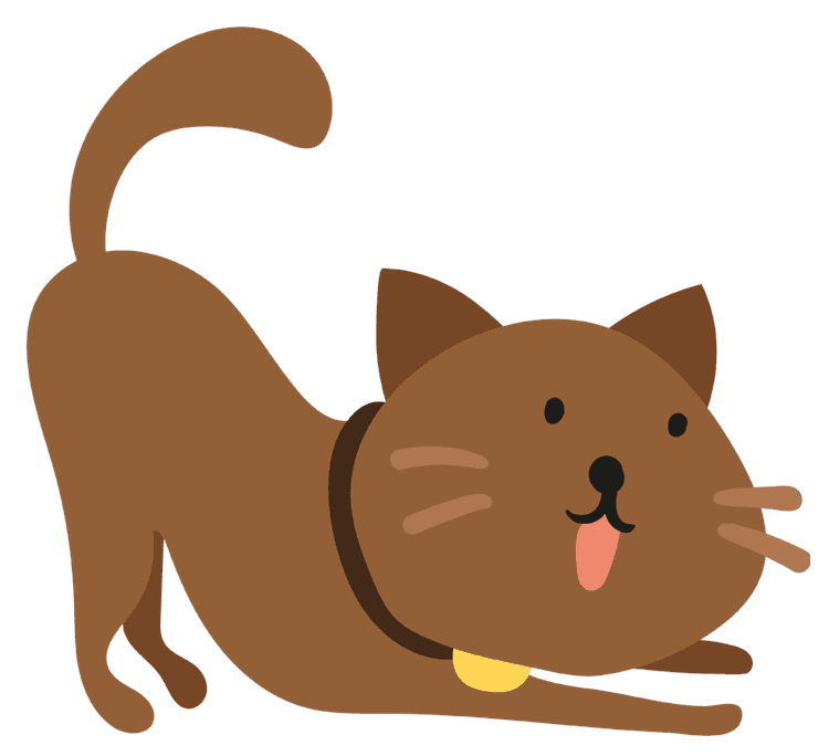 Yoga Cat