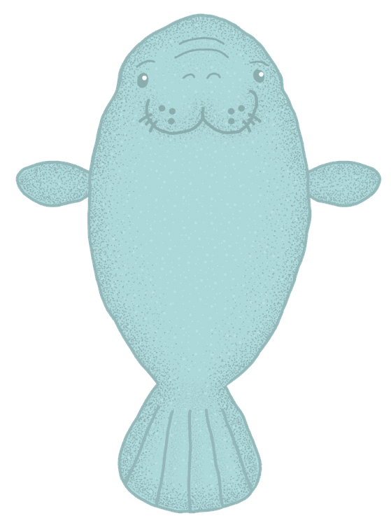 manatee 4