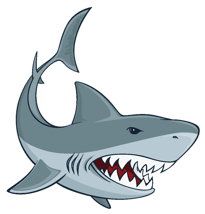 Shark Mouth Open